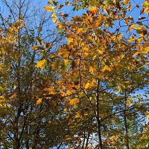 Meet your Posher, Joanna